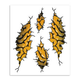 980578 MERKLOOS Sticker set brain 200 x 240 mm