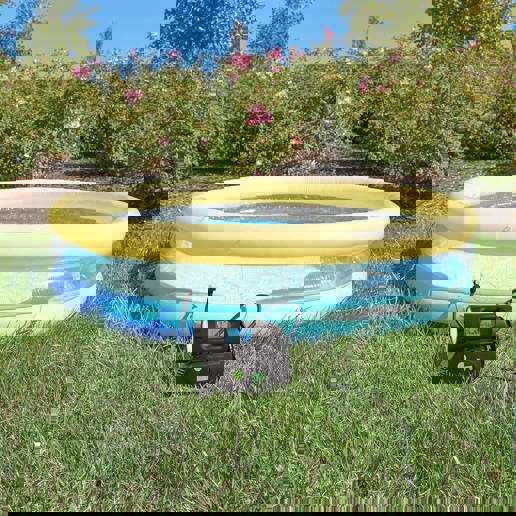 40P.40067-95 SLIME Slime Deluxe gonfleur / compresseur numérique 12V pour pneus 23 x 10 x 19 cm